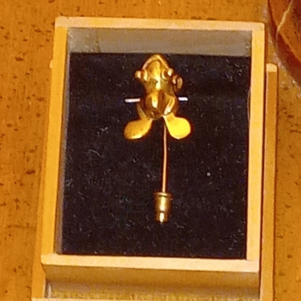 Frog Pin - Picture 10 of 14